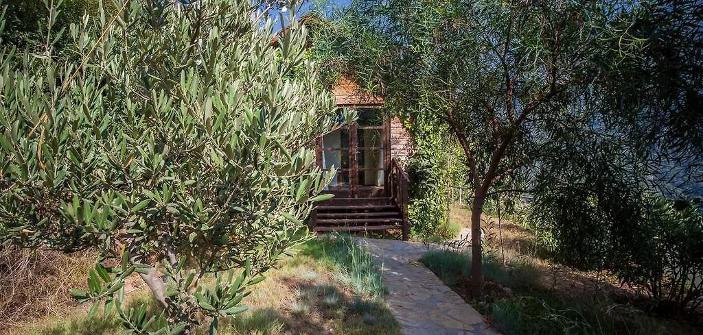 Kabak Avalon Bungalows Faralya