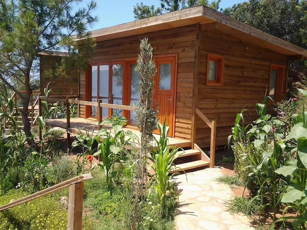 Lodge Kabak Avalon Bungalows Faralya