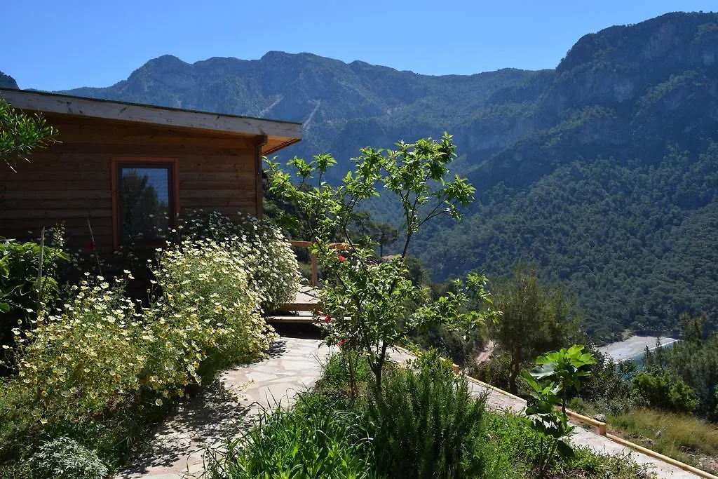 Lodge Kabak Avalon Bungalows Faralya Turquie