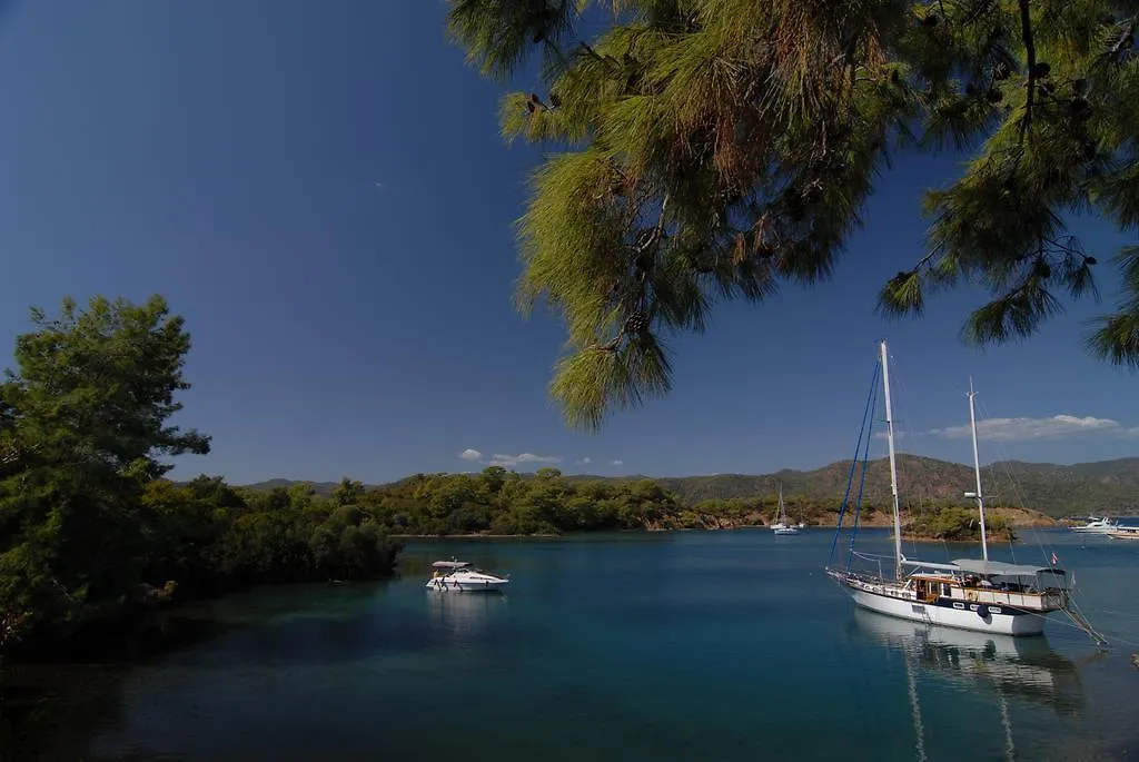 Lodge Kabak Avalon Bungalows Faralya