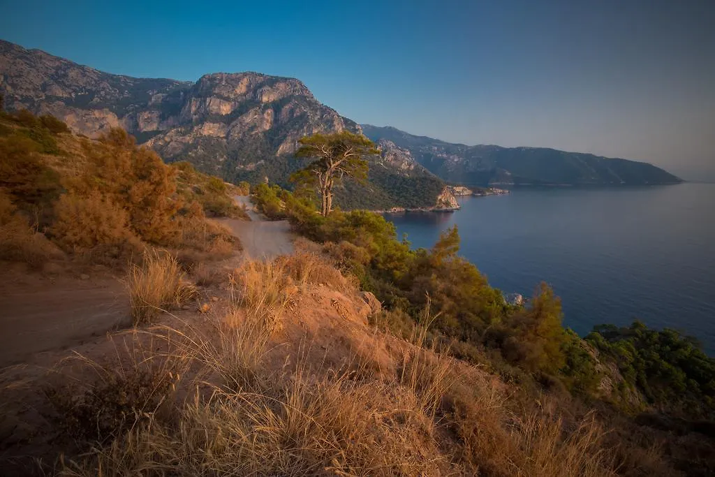Kabak Avalon Bungalows Faralya