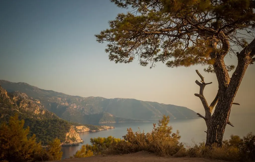 Kabak Avalon Bungalows Faralya 0*,