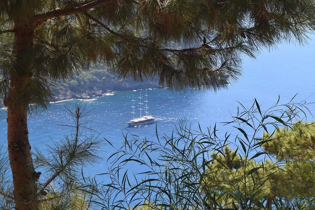 Lodge Kabak Avalon Bungalows Faralya